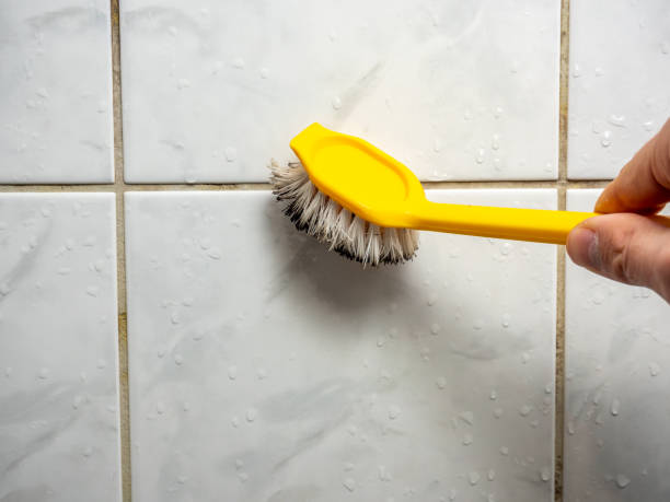 Best Affordable Mold Removal  in Kenly, NC