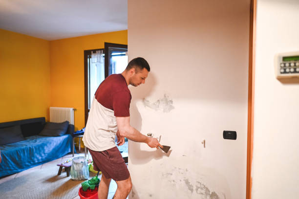 Best Water Damage Restoration  in Kenly, NC